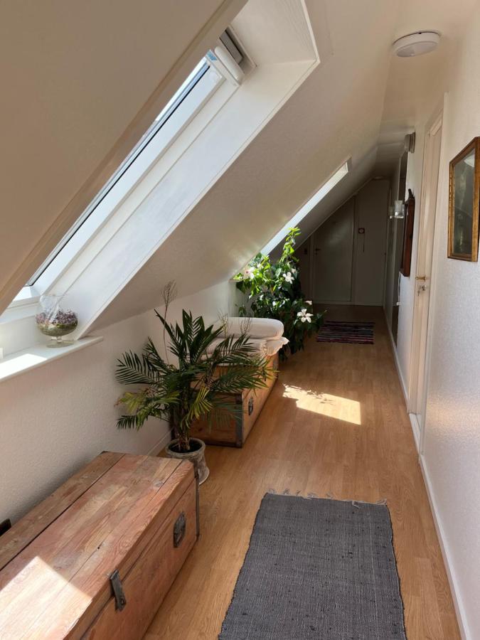 Munkebo B&B, Thy Thisted Exteriér fotografie